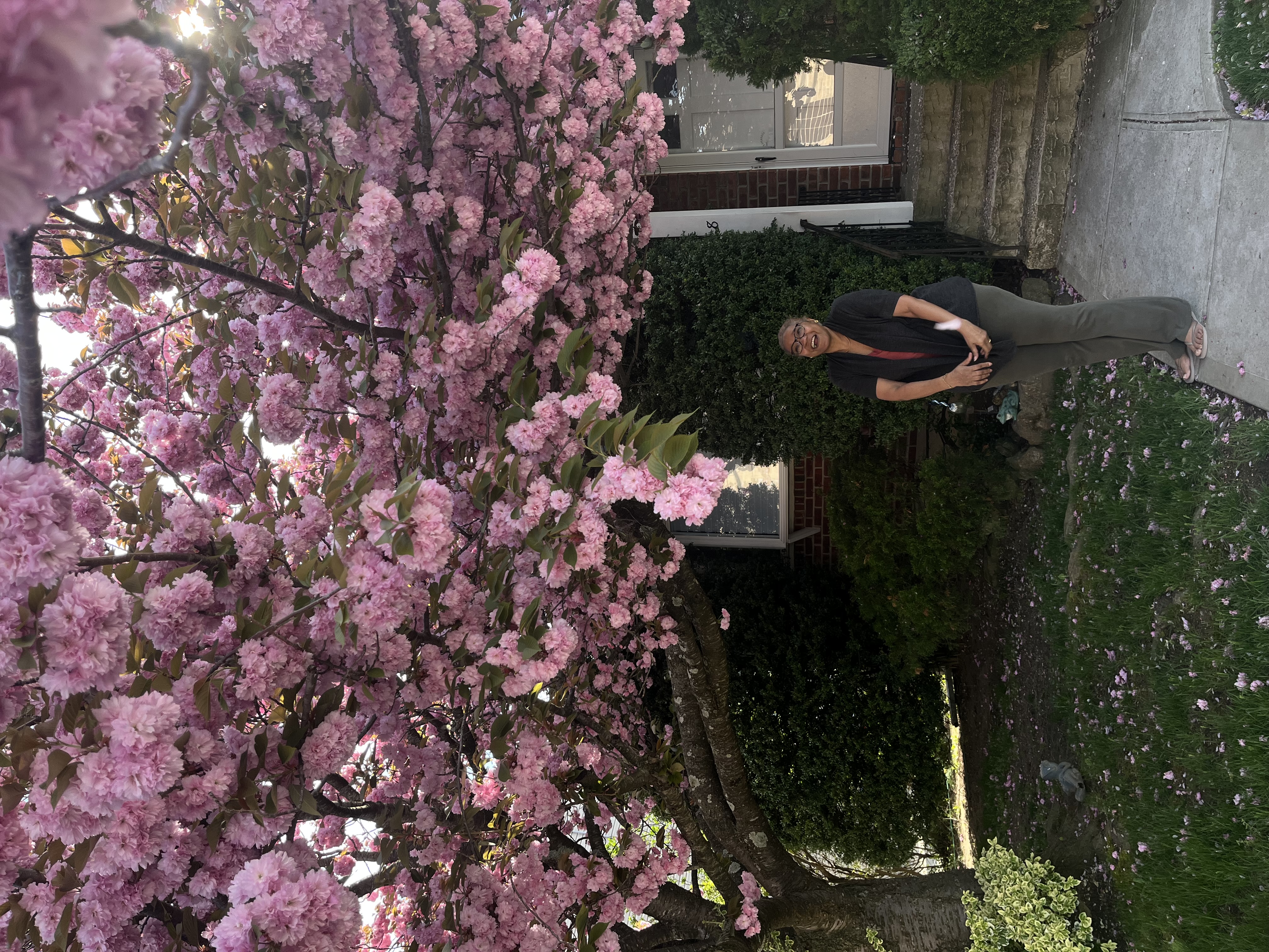 This image is to illustrate the joy I felt upon visiting the cherry blossom tree, a high point of my year.